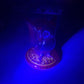 Vintage Westmoreland Carnival Amberina Glass Owl Toothpick Holder (Glows)