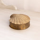 Medium Brass Shell Hinged Lidded Box