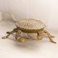 Large Brass Crab Hinged Lidded Box