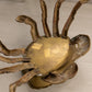 Large Brass Crab Hinged Lidded Box