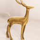 Medium Brass Buck Deer Figurine with Head Up