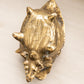 Medium Brass Conch Shell Planter