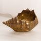 Medium Brass Conch Shell Planter Vase