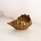 Medium Brass Conch Shell Planter Vase