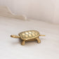 Medium Brass Turtle Hinged Lidded Dish