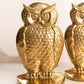 Vintage Medium Brass Gold Tone Owl Bookends
